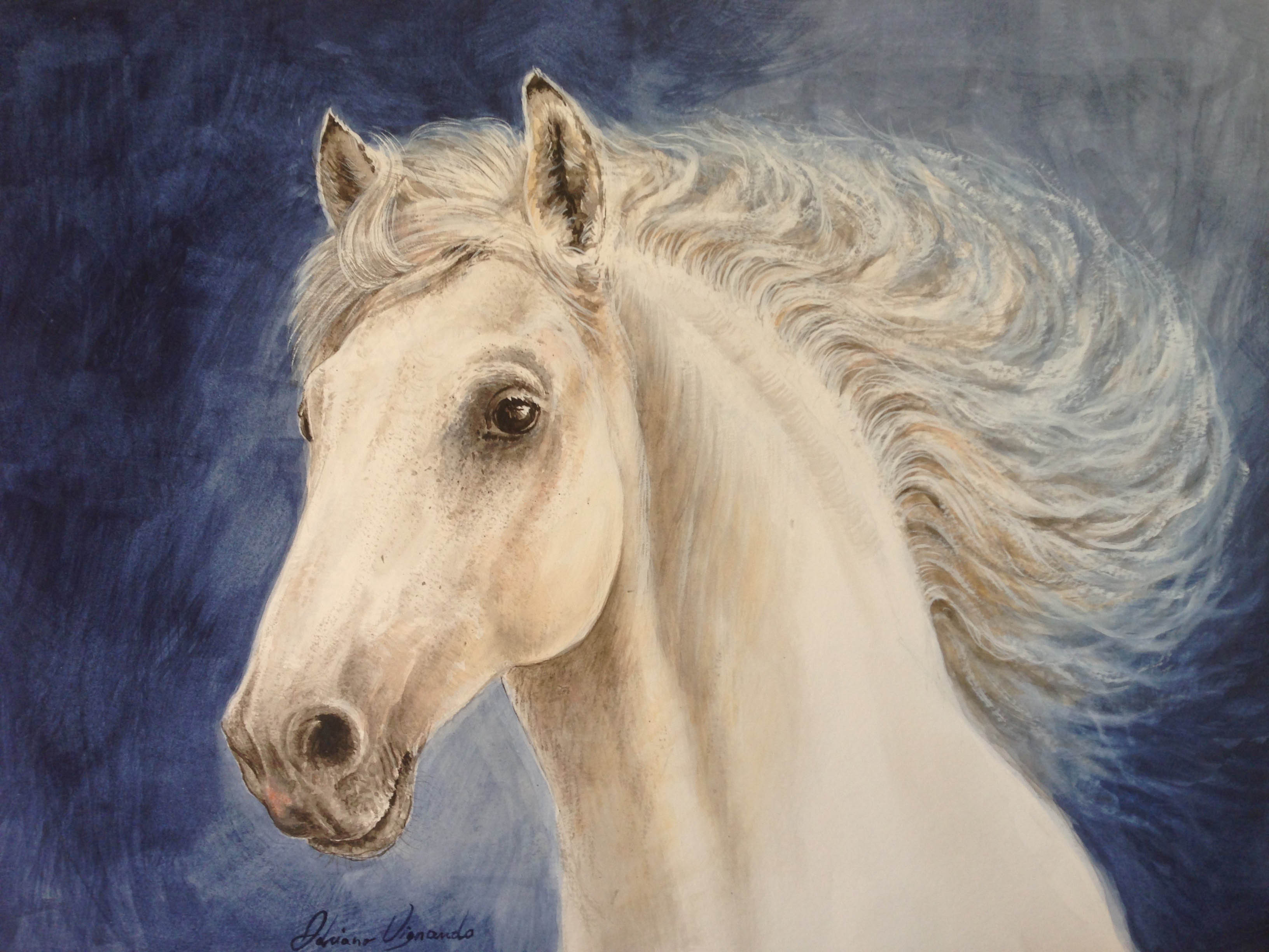 Cavallo Bianco